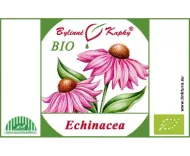 Echinacea purpurea (třapatka nachová) BIO - bylinné kapky (tinktura) 50 ml