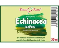 Echinacea (třapatka) kořen (bylinné kapky - tinktura) 50 ml