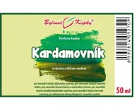 Kardamovník (kardamom) - bylinné kapky (tinktura) 50 ml