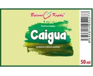 Caigua (ačokča) - bylinné kapky (tinktura) 50 ml