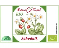 Jahodník list + květ BIO - bylinné kapky (tinktura) 50 ml