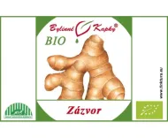 Zázvorovník (zázvor) BIO - bylinné kapky (tinktura) 50 ml