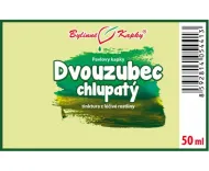 Dvouzubec chlupatý (pilový) - bylinné kapky (tinktura) 50 ml