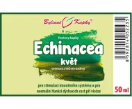 Echinacea (třapatka) květ (bylinné kapky - tinktura) 50 ml