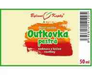 Outkovka pestrá - kapky Duše rostlin (tinktura) 50 ml