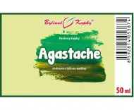 Agastache - bylinné kapky (tinktura) 50 ml