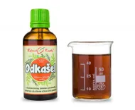 Průdušky - vlhký K. (Odkašel) - bylinné kapky (tinktura) 50 ml