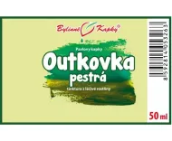 Outkovka pestrá (Coriolus) - bylinné kapky (tinktura) 50 ml