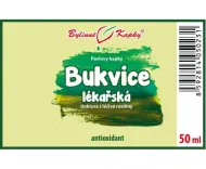 Bukvice lékařská - bylinné kapky (tinktura) 50 ml