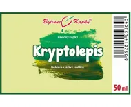 Kryptolepis (Cryptolepis) - bylinné kapky (tinktura) 50 ml