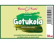 Gotukola (gotu kola) - bylinné kapky (tinktura) 50 ml