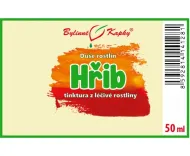 Hřib - kapky Duše rostlin (tinktura) 50 ml