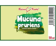 Mucuna pruriens - bylinné kapky (tinktura) 50 ml