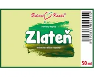 Zlateň (chryzantéma) - bylinné kapky (tinktura) 50 ml