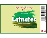 Latnatec - bylinné kapky (tinktura) 50 ml