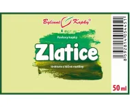 Zlatice (TCM) - bylinné kapky (tinktura) 50 ml