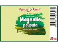 Magnolie poupata (TCM) - bylinné kapky (tinktura) 50 ml