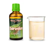 Borovice - tinktura z pupenů (gemmoterapie) 50 ml