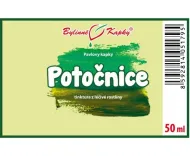 Potočnice - bylinné kapky (tinktura) 50 ml