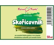 Skořicovník (skořice) - bylinné kapky (tinktura) 50 ml