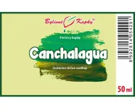 Canchalagua - bylinné kapky (tinktura) 50 ml