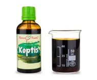 Koptis (TCM) - bylinné kapky (tinktura z koptisu) 50 ml