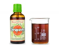 Chrupavka (klouby) - bylinné kapky (tinktura) 50 ml