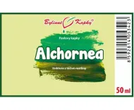 Alchornea - bylinné kapky (tinktura) 50 ml