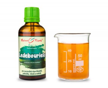 Ledebouriela (TCM) - bylinné kapky (tinktura) 50 ml