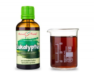 Eukalyptus (blahovičník) - bylinné kapky (tinktura) 50 ml