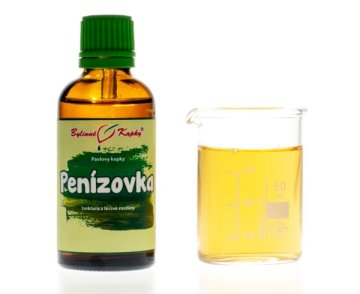 Penízovka - bylinné kapky (tinktura) 50 ml