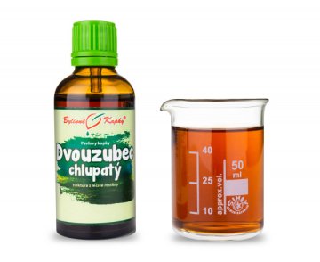 Dvouzubec chlupatý (pilový) - bylinné kapky (tinktura) 50 ml