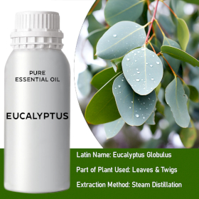 Eukalyptus přírodní silice, esenciální (éterický) olej 500 g